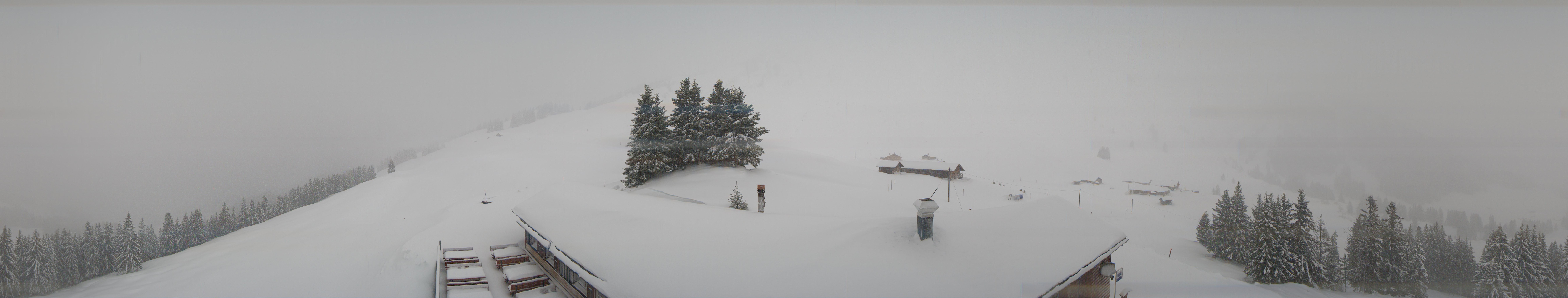 Archiv Foto Webcam Panorama Grindelwald Bussalp