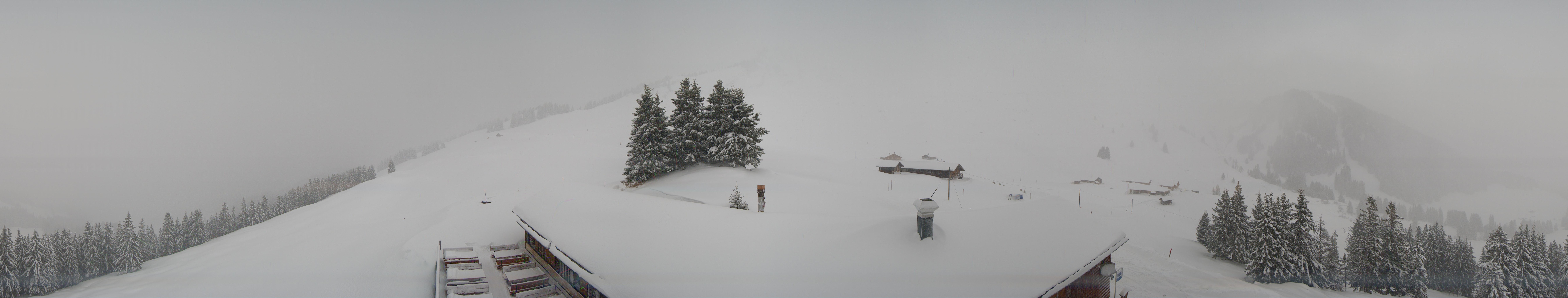 Archiv Foto Webcam Panorama Grindelwald Bussalp