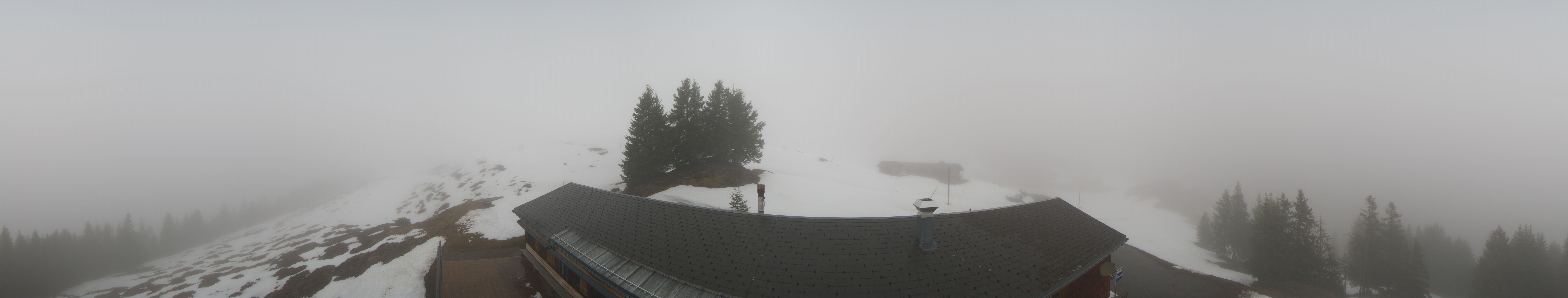 Archived image Webcam Grindelwald Bussalp Roundshot