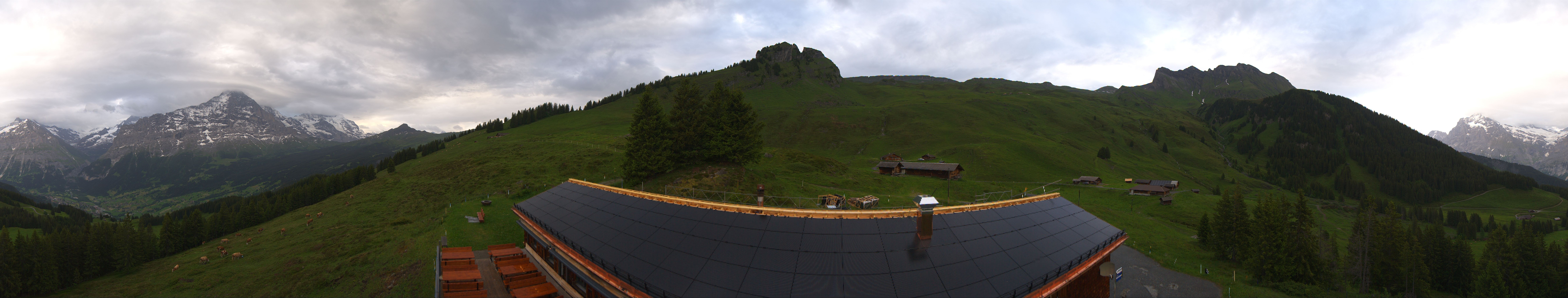 Archived image Webcam Grindelwald Bussalp Roundshot