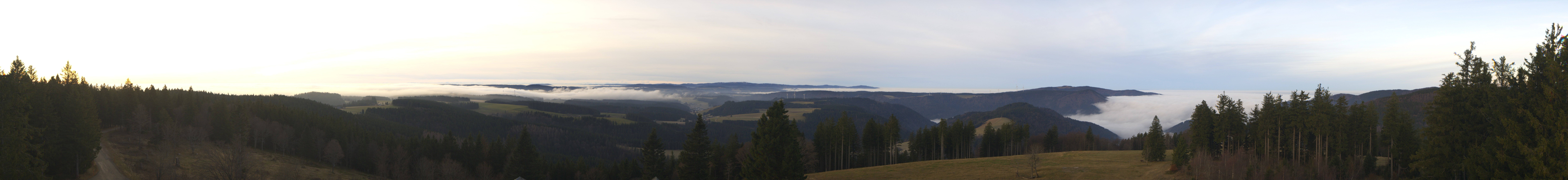 Archiv Foto Webcam Schwarzwald - Brendturm