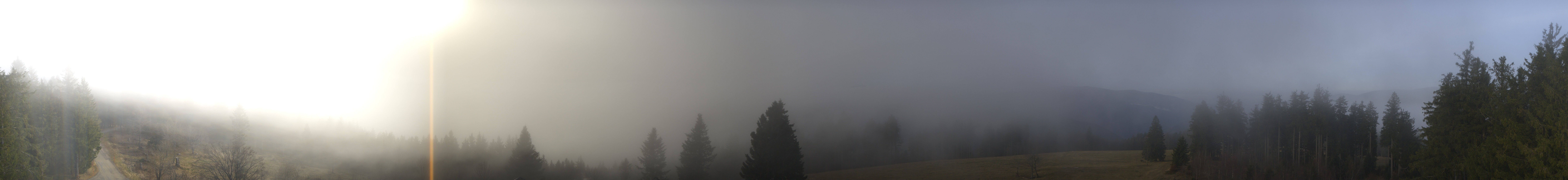 Archiv Foto Webcam Schwarzwald - Brendturm