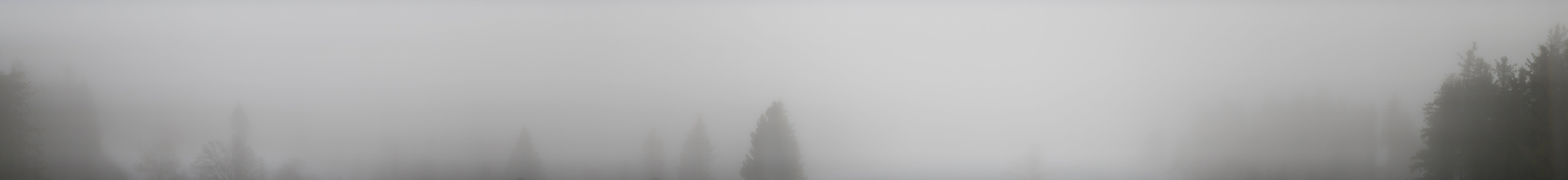 Archiv Foto Webcam Schwarzwald - Brendturm