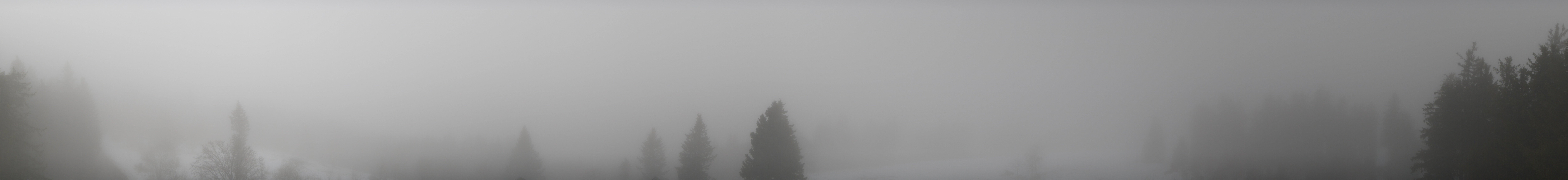 Archiv Foto Webcam Schwarzwald - Brendturm