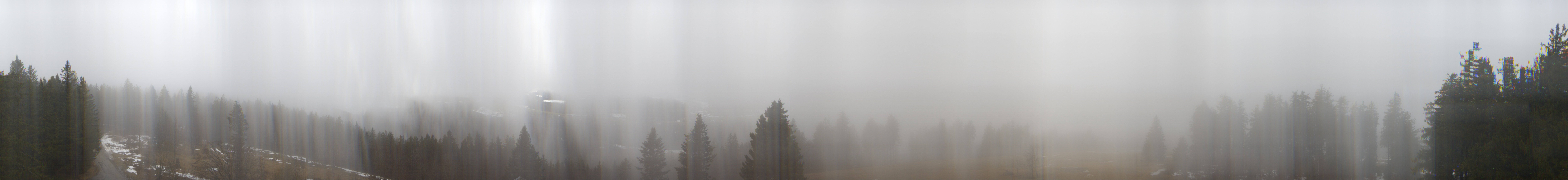 Archiv Foto Webcam Schwarzwald - Brendturm