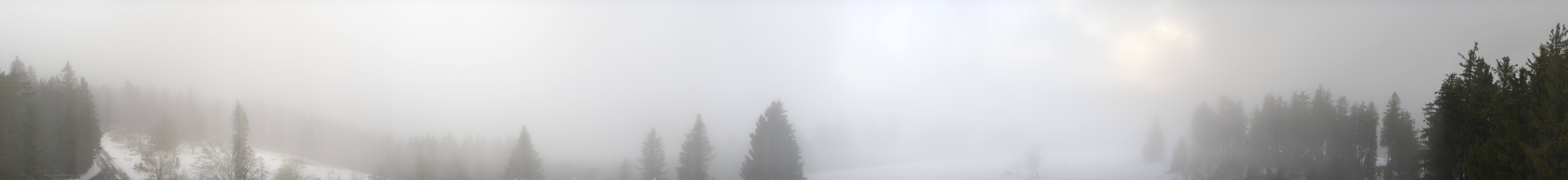 Archiv Foto Webcam Schwarzwald - Brendturm