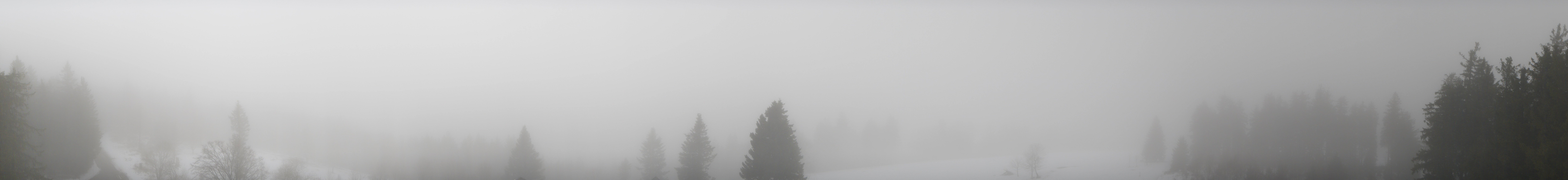 Archiv Foto Webcam Schwarzwald - Brendturm