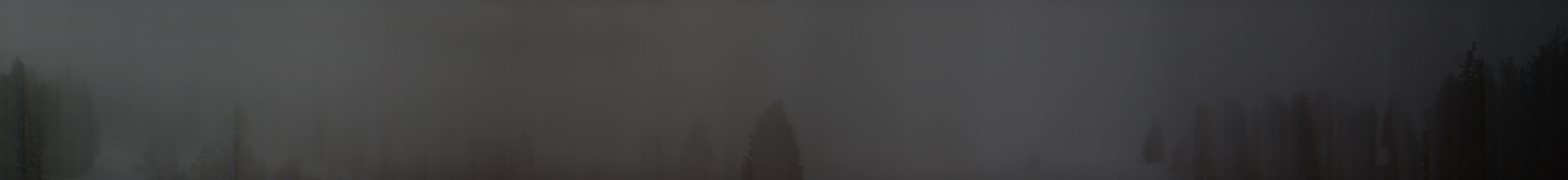 Archiv Foto Webcam Schwarzwald - Brendturm