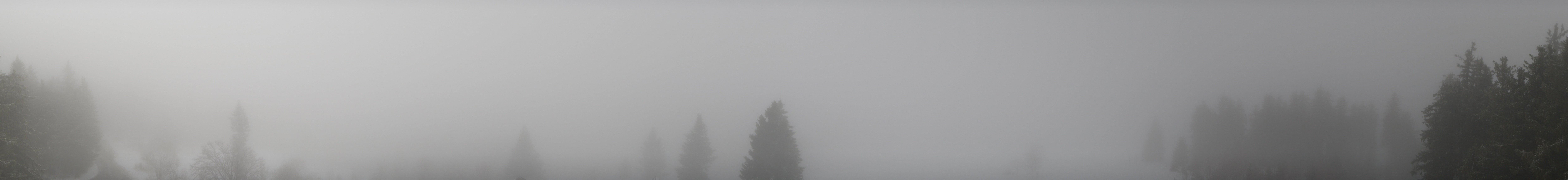 Archiv Foto Webcam Schwarzwald - Brendturm