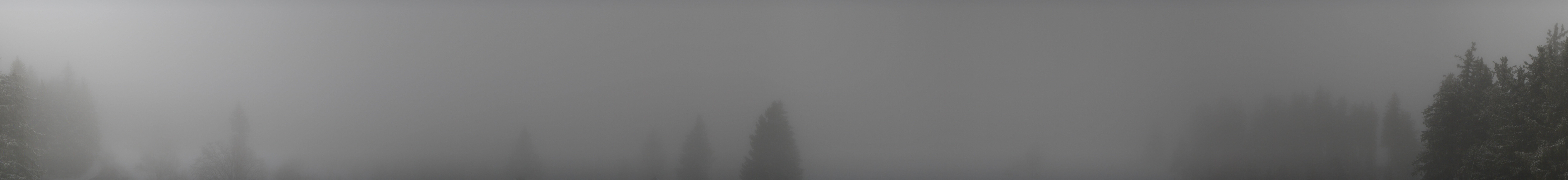 Archiv Foto Webcam Schwarzwald - Brendturm