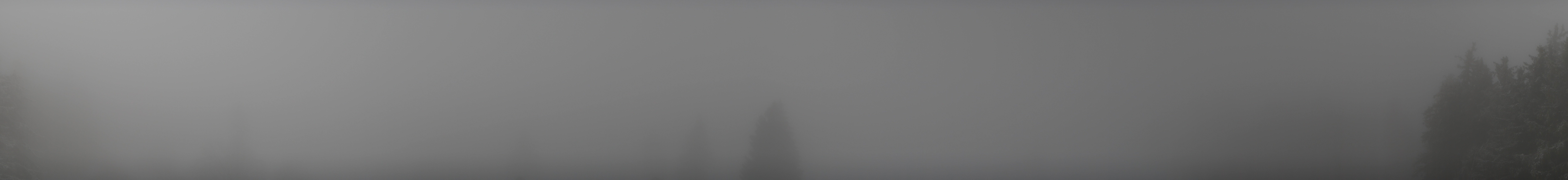 Archiv Foto Webcam Schwarzwald - Brendturm