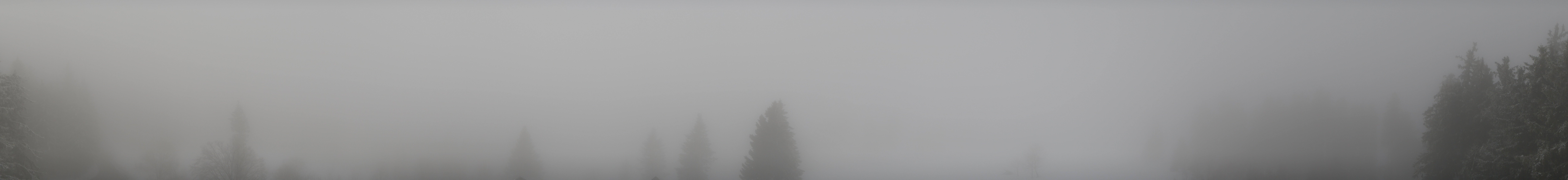 Archiv Foto Webcam Schwarzwald - Brendturm