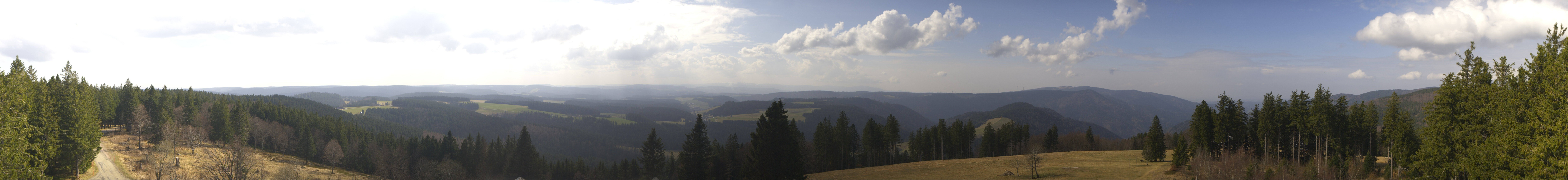 Archiv Foto Webcam Schwarzwald - Brendturm