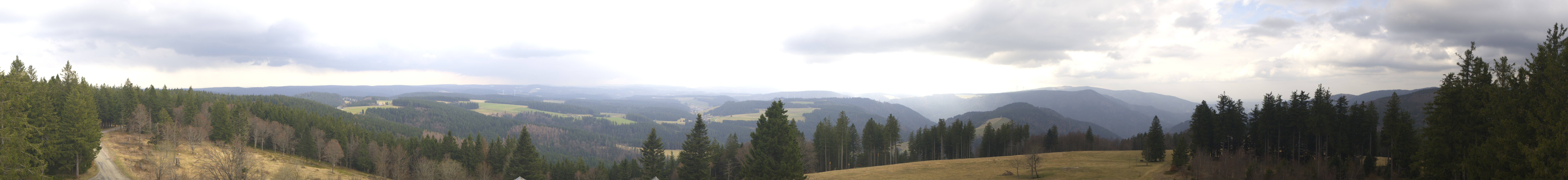 Archiv Foto Webcam Schwarzwald - Brendturm