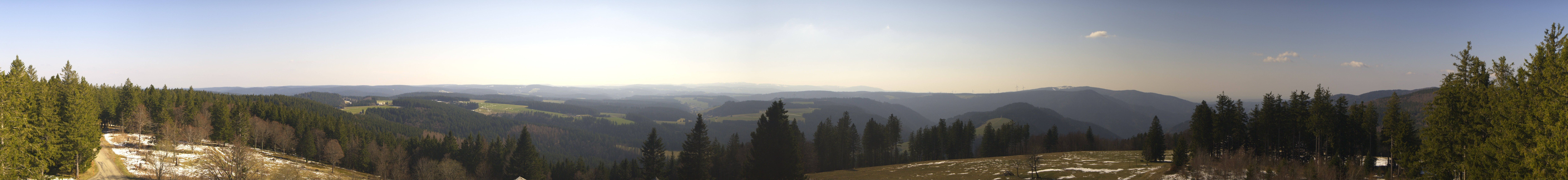 Archiv Foto Webcam Schwarzwald - Brendturm
