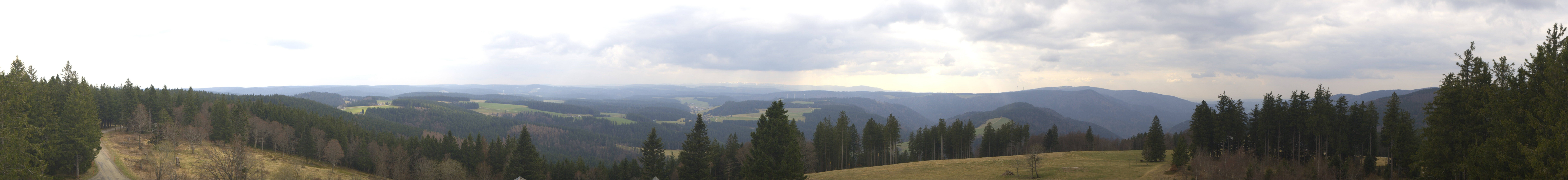 Archiv Foto Webcam Schwarzwald - Brendturm