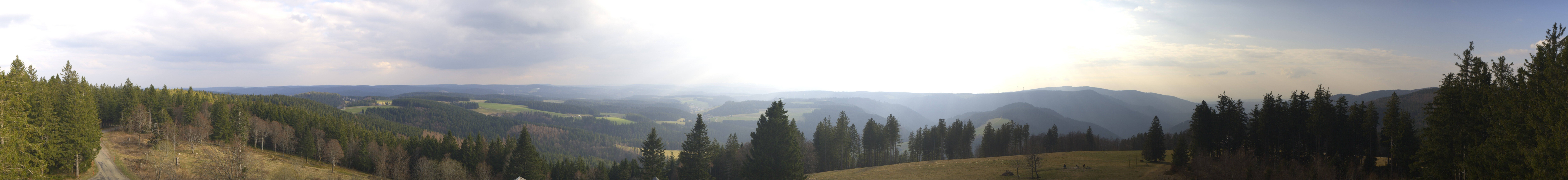 Archiv Foto Webcam Schwarzwald - Brendturm