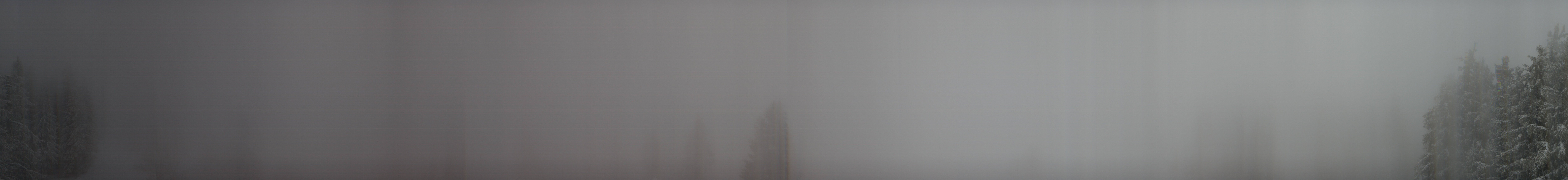 Archiv Foto Webcam Schwarzwald - Brendturm