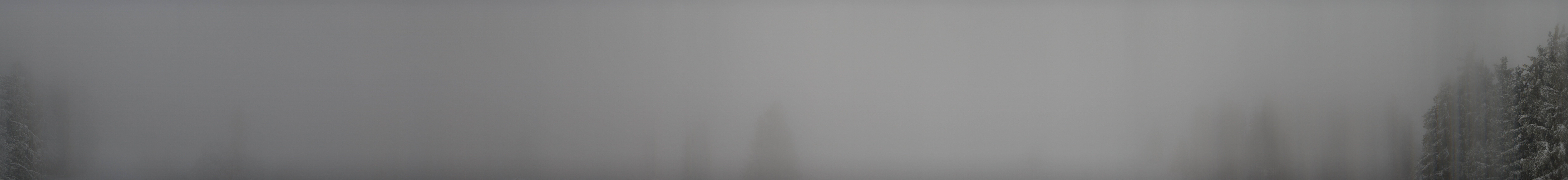 Archiv Foto Webcam Schwarzwald - Brendturm