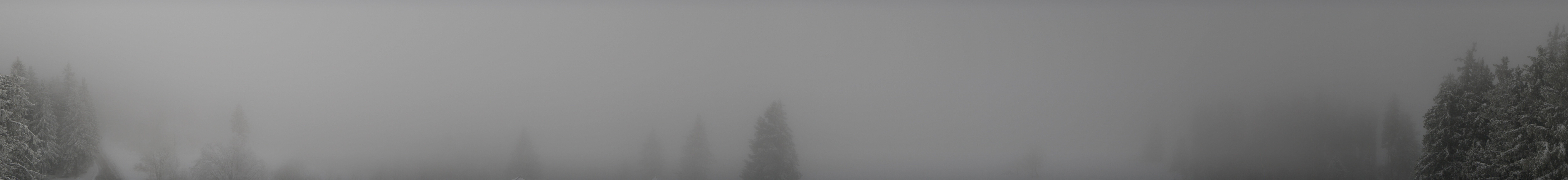 Archiv Foto Webcam Schwarzwald - Brendturm