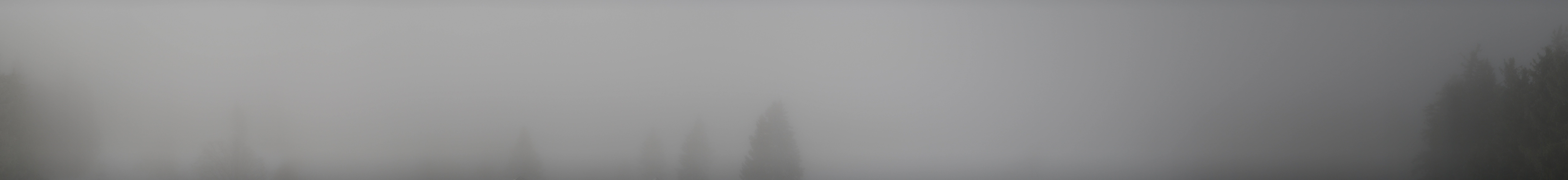 Archiv Foto Webcam Schwarzwald - Brendturm