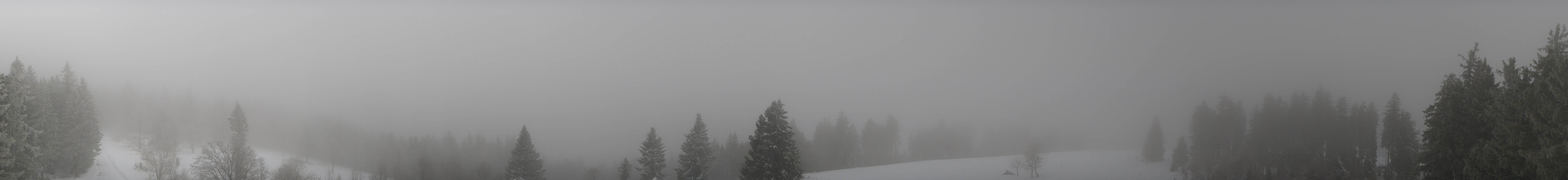 Archiv Foto Webcam Schwarzwald - Brendturm