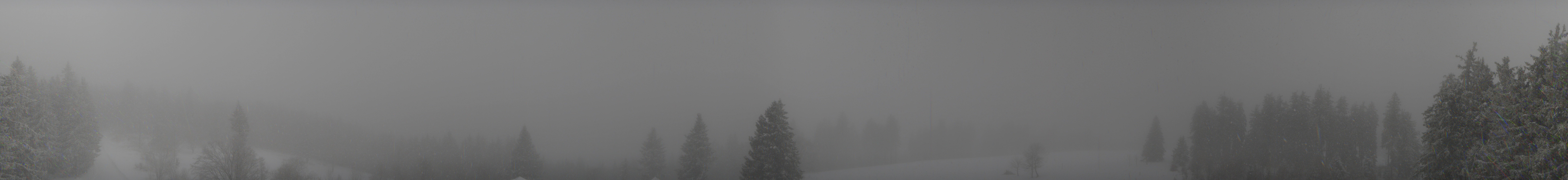 Archiv Foto Webcam Schwarzwald - Brendturm