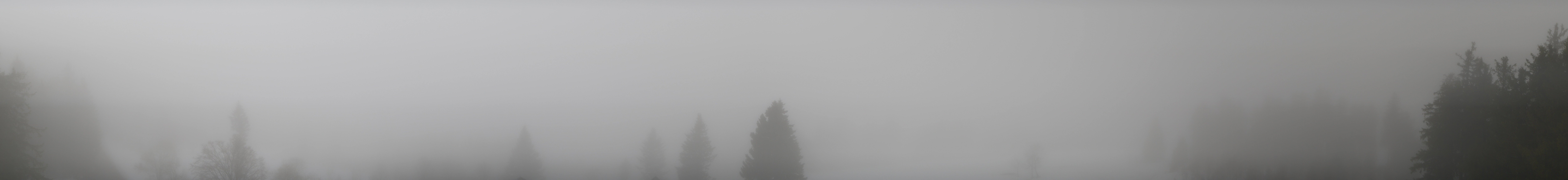 Archiv Foto Webcam Schwarzwald - Brendturm