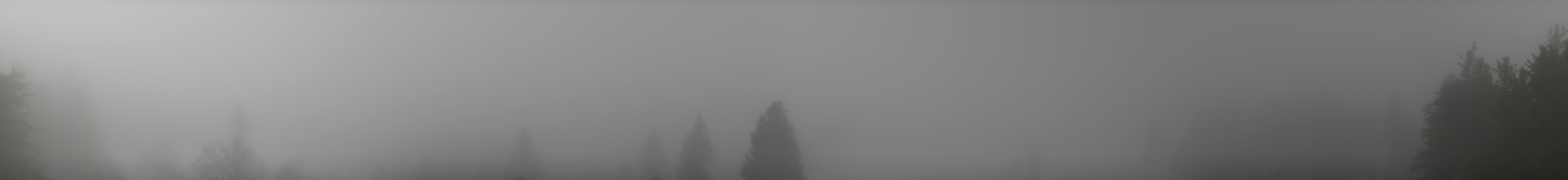 Archiv Foto Webcam Schwarzwald - Brendturm