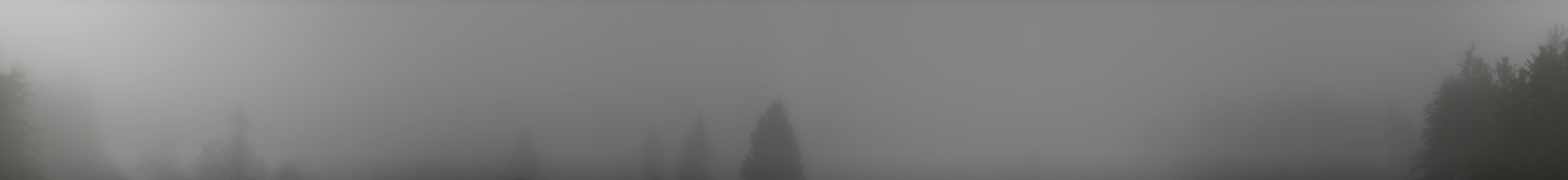 Archiv Foto Webcam Schwarzwald - Brendturm