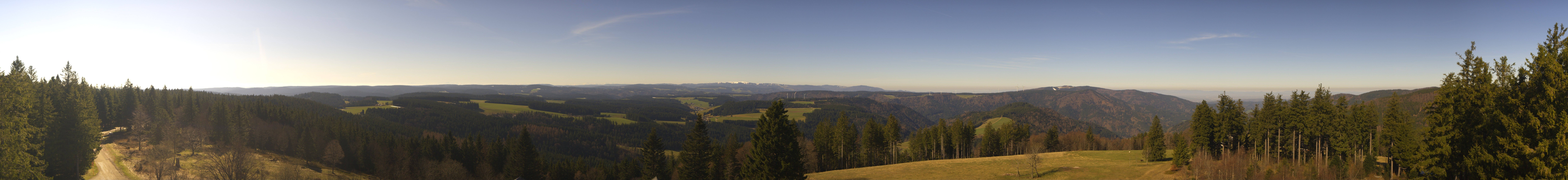 Archiv Foto Webcam Schwarzwald - Brendturm