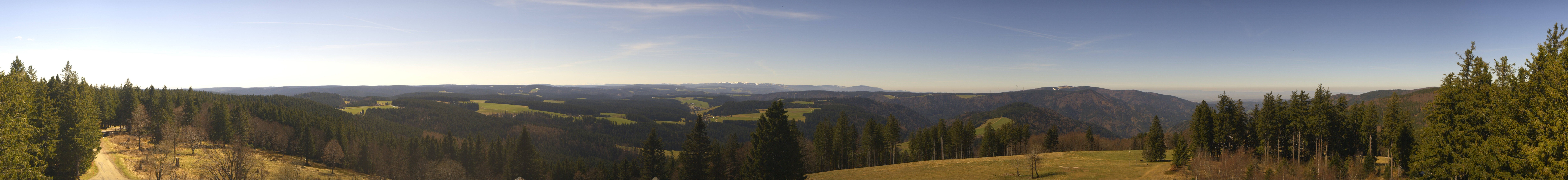 Archiv Foto Webcam Schwarzwald - Brendturm