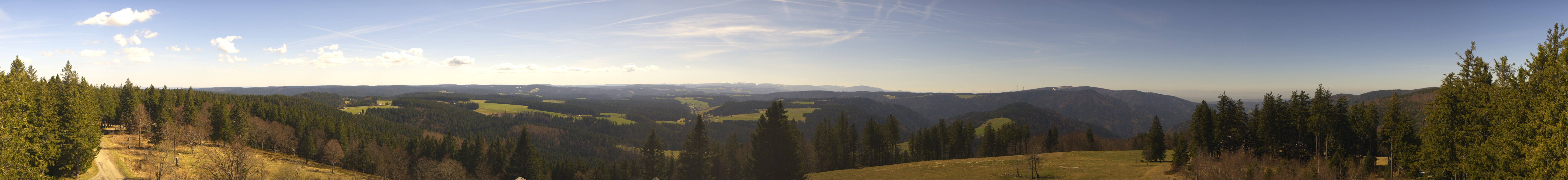 Archiv Foto Webcam Schwarzwald - Brendturm