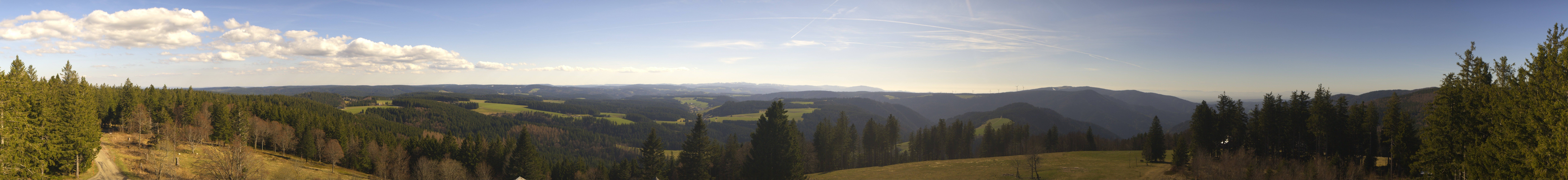 Archiv Foto Webcam Schwarzwald - Brendturm