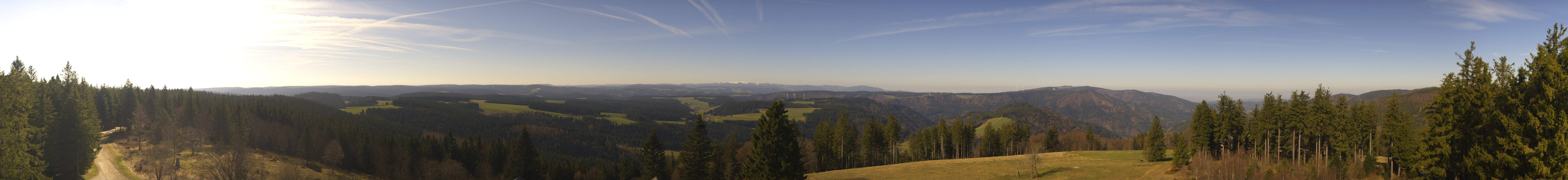 Archiv Foto Webcam Schwarzwald - Brendturm