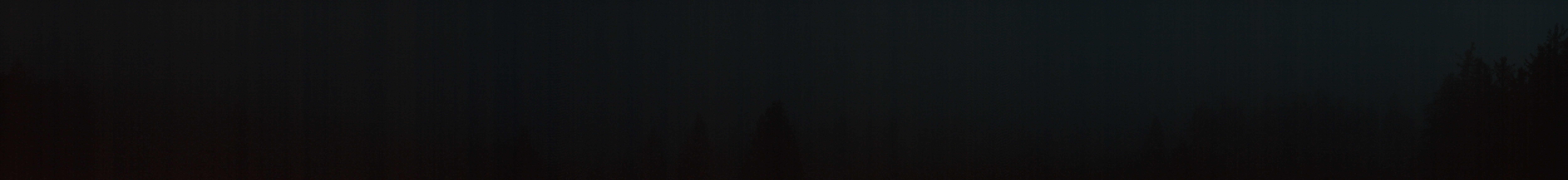 Archived image Webcam Black Forest - Brend Tower
