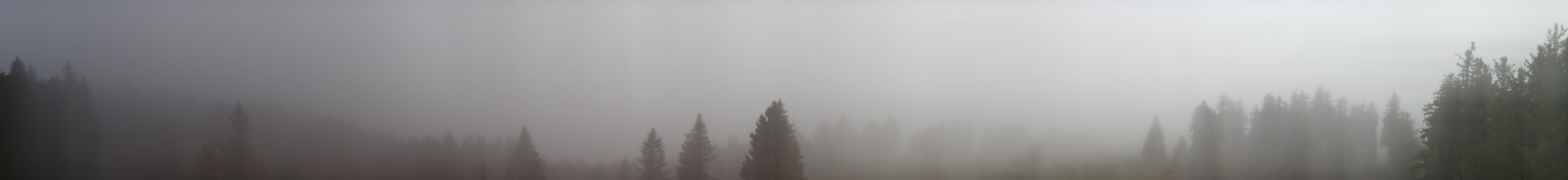 Archived image Webcam Black Forest - Brend Tower