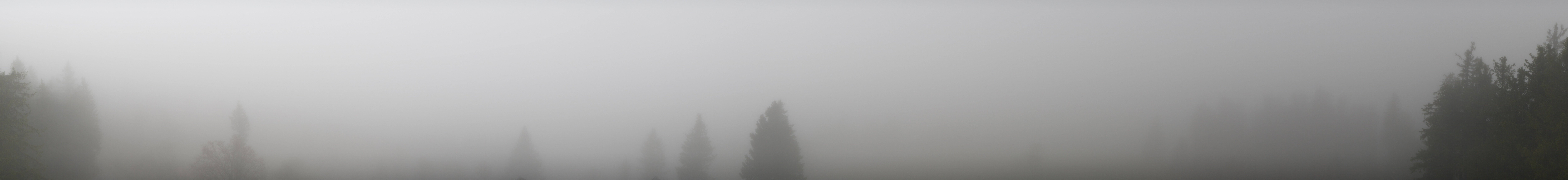 Archived image Webcam Black Forest - Brend Tower