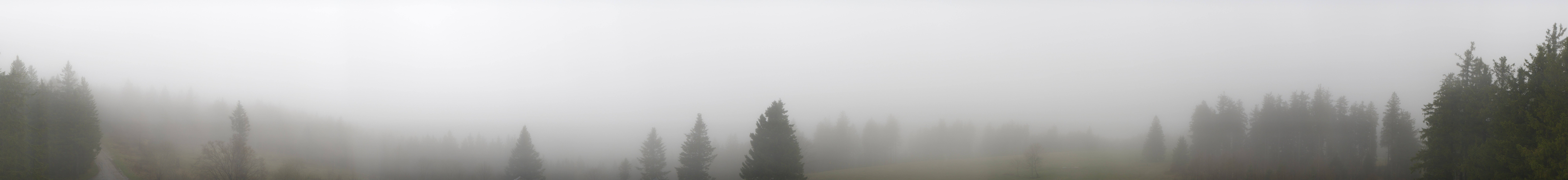 Archived image Webcam Black Forest - Brend Tower