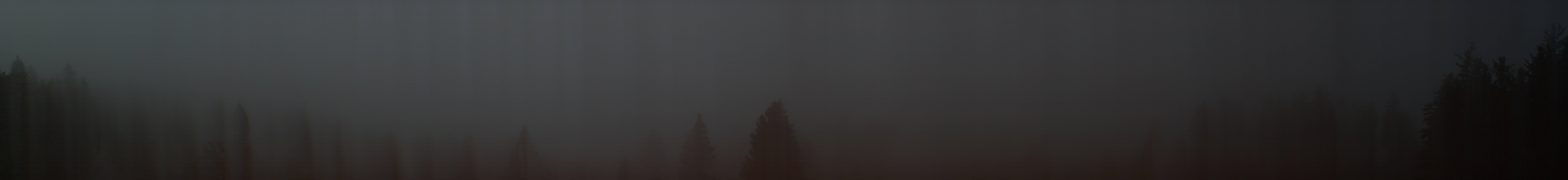 Archived image Webcam Black Forest - Brend Tower