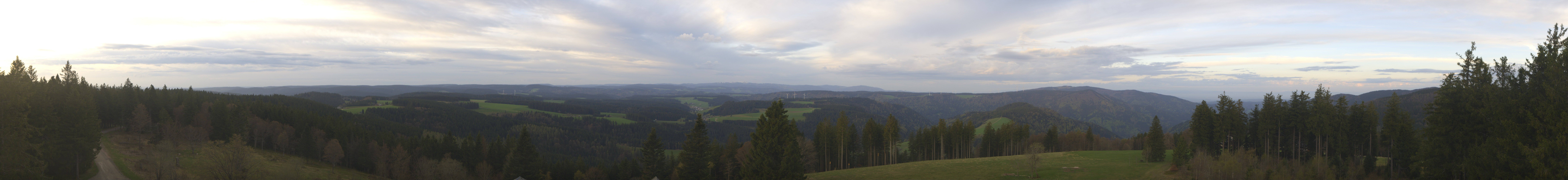 Archiv Foto Webcam Schwarzwald - Brendturm