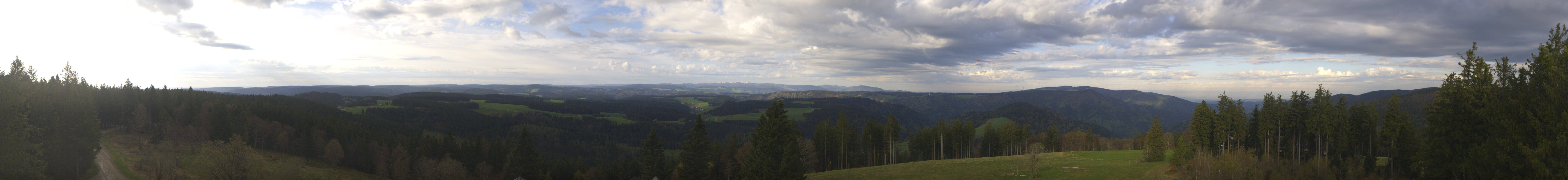 Archiv Foto Webcam Schwarzwald - Brendturm