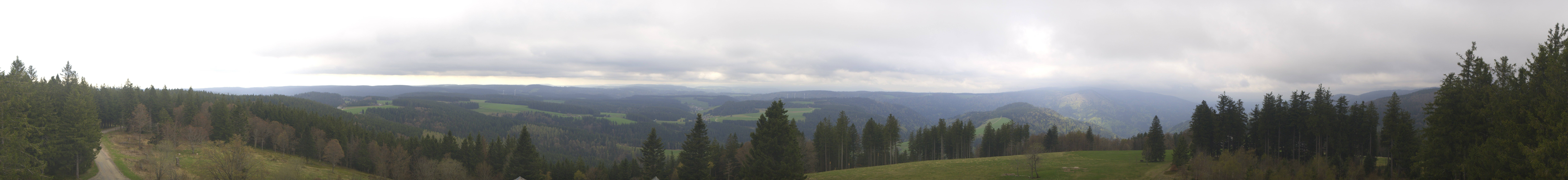 Archiv Foto Webcam Schwarzwald - Brendturm