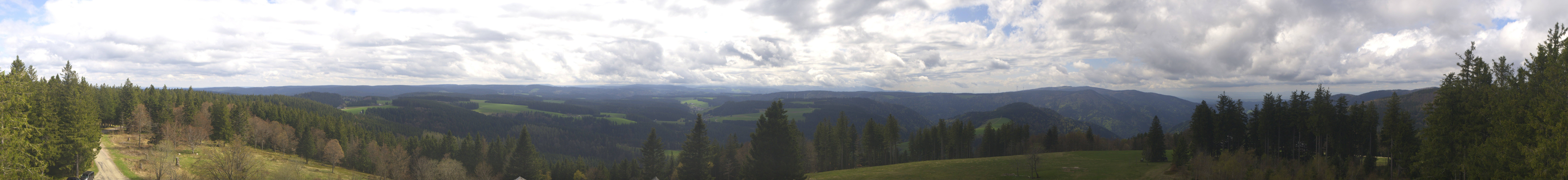 Archiv Foto Webcam Schwarzwald - Brendturm