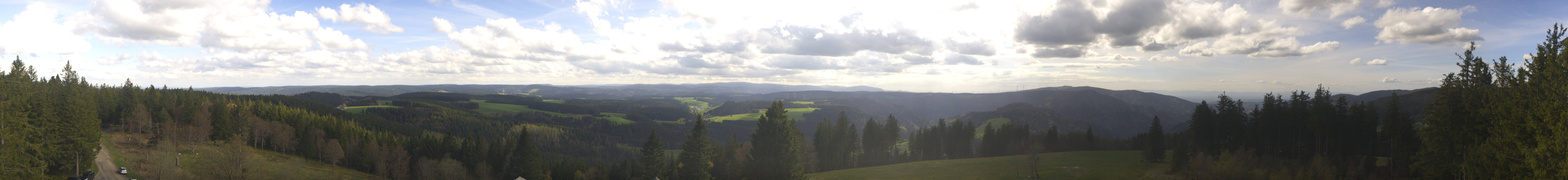 Archiv Foto Webcam Schwarzwald - Brendturm