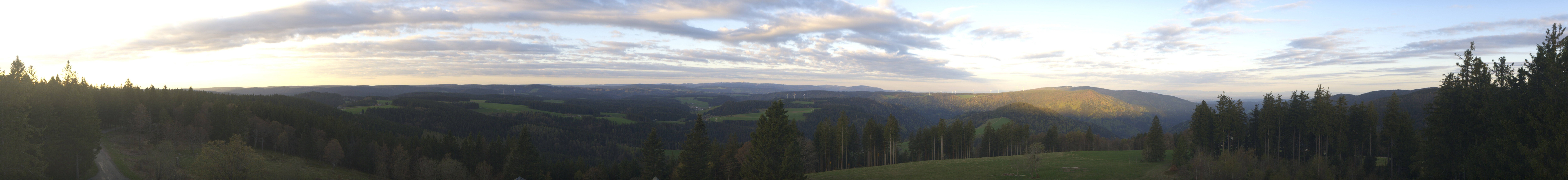 Archiv Foto Webcam Schwarzwald - Brendturm