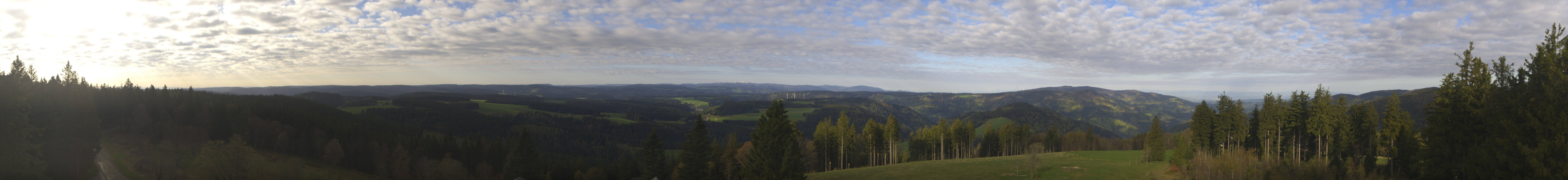 Archiv Foto Webcam Schwarzwald - Brendturm