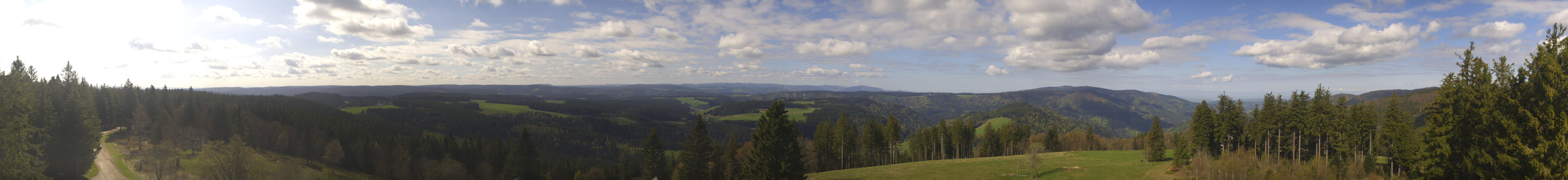 Archiv Foto Webcam Schwarzwald - Brendturm