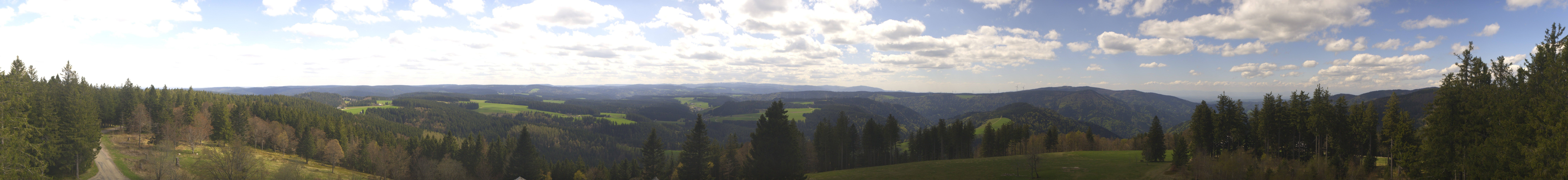 Archiv Foto Webcam Schwarzwald - Brendturm
