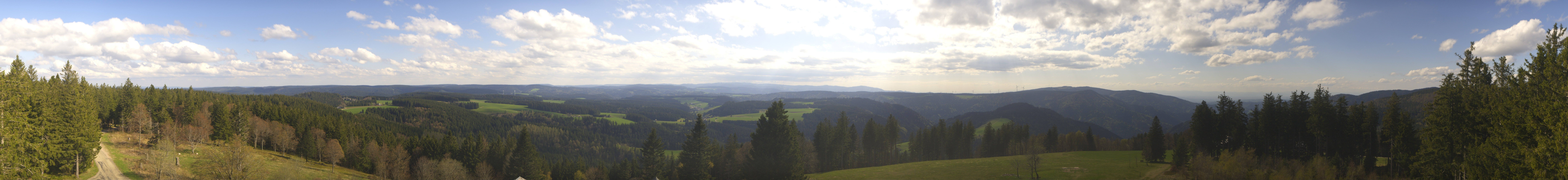 Archiv Foto Webcam Schwarzwald - Brendturm